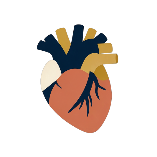 Anatomical Heart — Tank Top