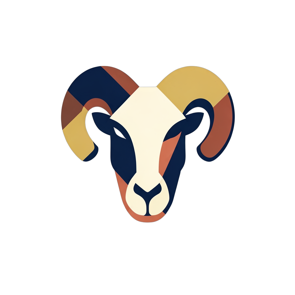 Aries Hoodie