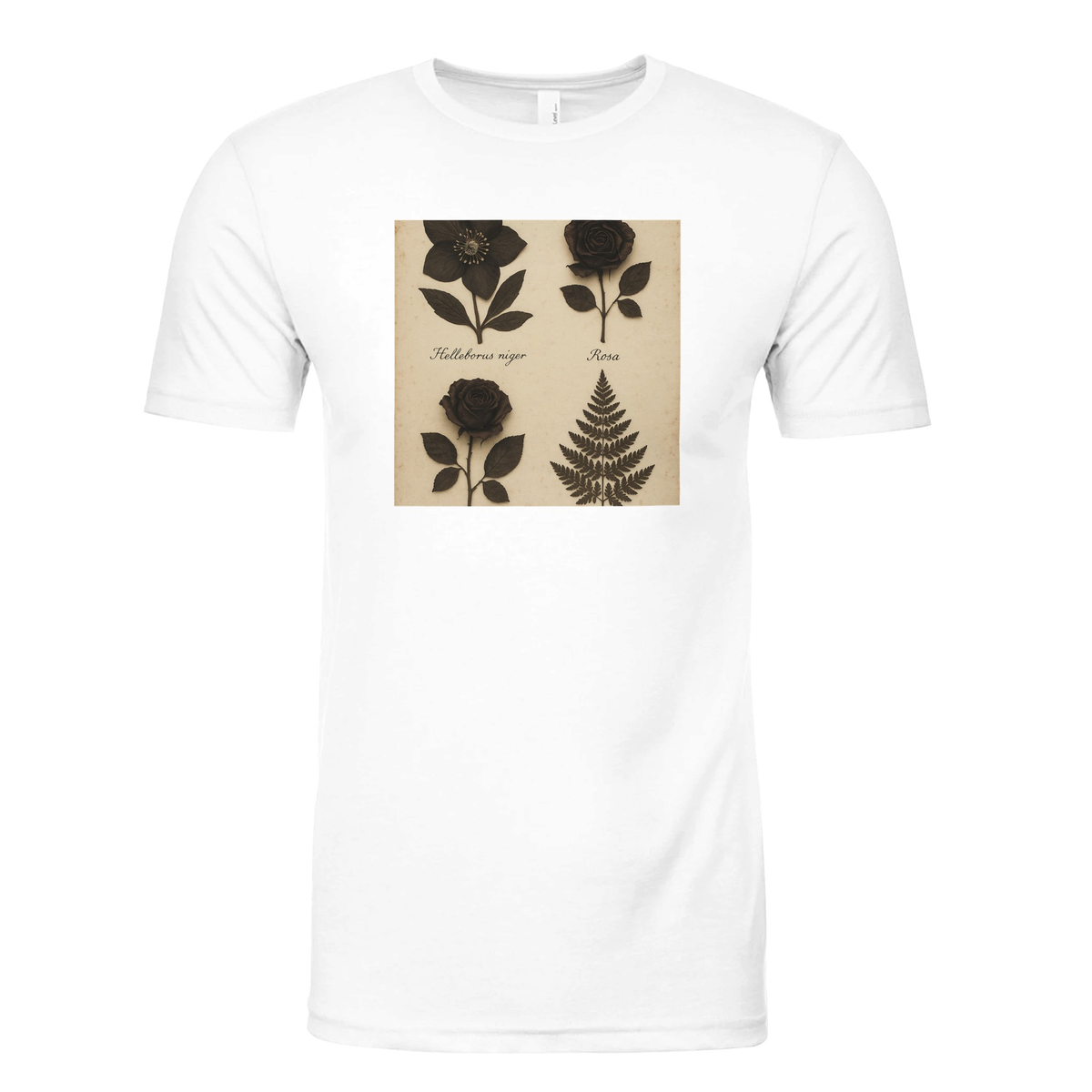 gelato-photo:97e6d75474a84f155be4bf3/x50_y35_s0_center-chest-L_nxm145.png